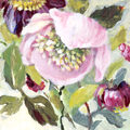 Image Not Available